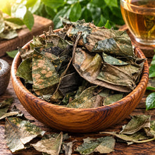 Pavana Leaf and Bark - 1 oz (organic/wildcrafted) All Naturell Healing