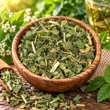 Stinging Nettle - 1 oz (organic/wildcrafted) All Naturell Healing