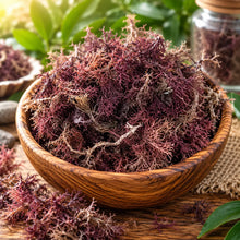 Purple Sea Moss (Wildcrafted) All Naturell Healing