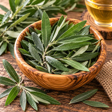 Olive Leaf - 1 oz (organic/wildcrafted) All Naturell Healing