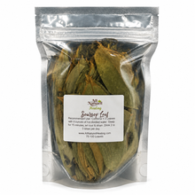 Soursop (Graviola) 100 Leaves (organic/wildcrafted)
