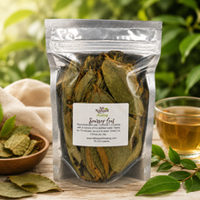Soursop (Graviola) 100 Leaves (organic/wildcrafted)