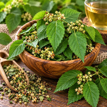 Cablote (Leaves) - 1 oz All Naturell Healing