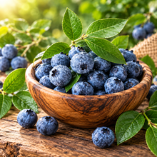 Bilberry Tea - 1oz (organic/wildcrafted) All Naturell Healing
