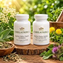 Chelation Detox Support 1 and 2 All Naturell Healing