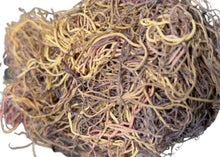 Honduras Sea Moss (Wildcrafted) - All Naturell Healing