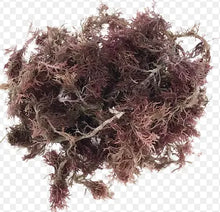 Purple Sea Moss (Wildcrafted) - All Naturell Healing
