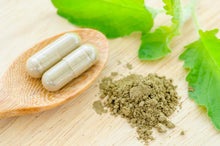 Central Nervous System Revitalizer - All Naturell Healing